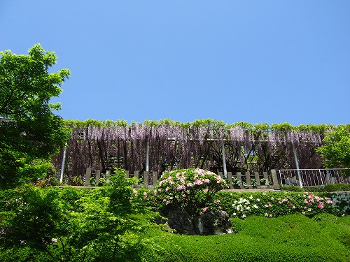 吉祥寺10