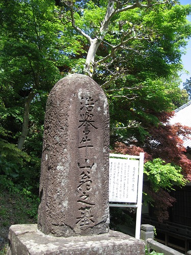 吉祥寺15