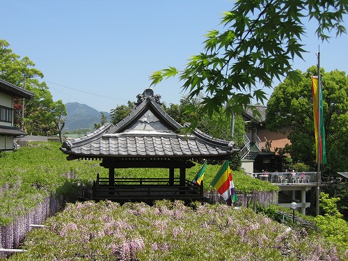 吉祥寺20