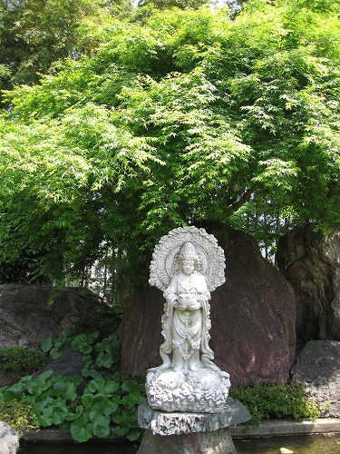 吉祥寺24