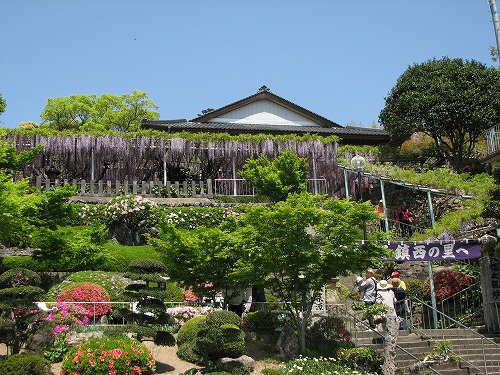 吉祥寺25