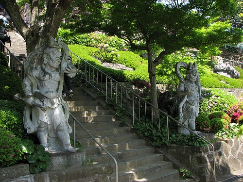 吉祥寺27
