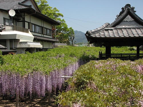 吉祥寺32