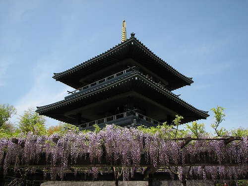 吉祥寺35