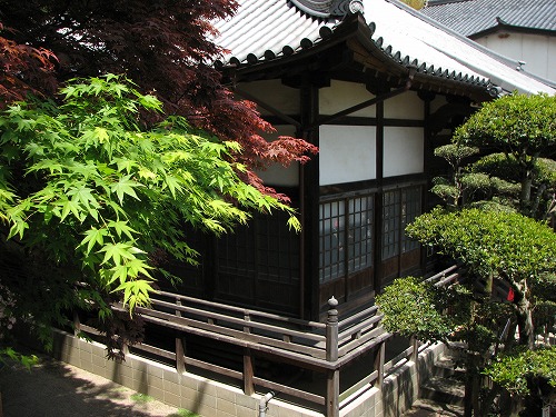 吉祥寺36