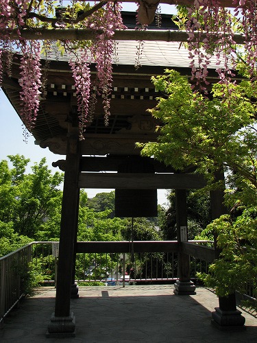 吉祥寺37