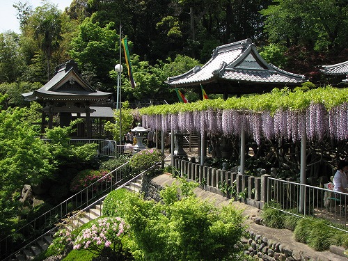 吉祥寺39
