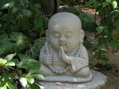 吉祥寺40