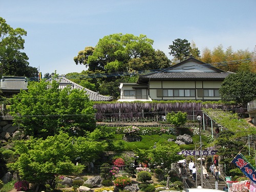 吉祥寺42