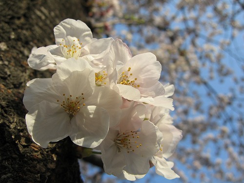 金山川1