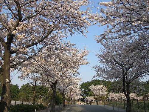 金山川2
