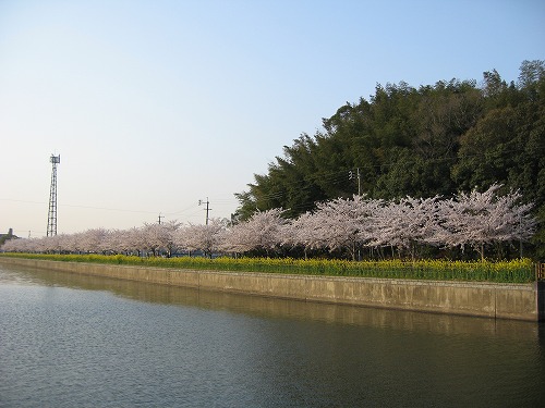 金山川3