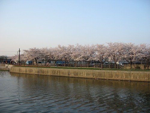 金山川5