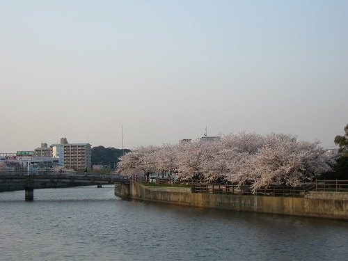 金山川6