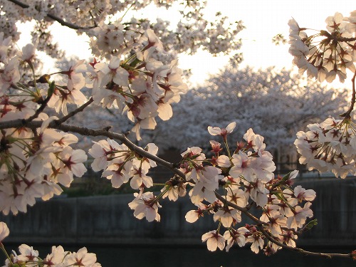 金山川7