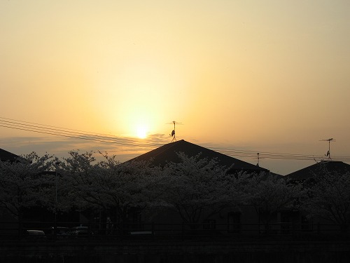 金山川10