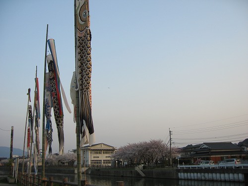金山川11