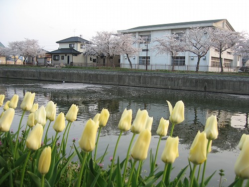 金山川12