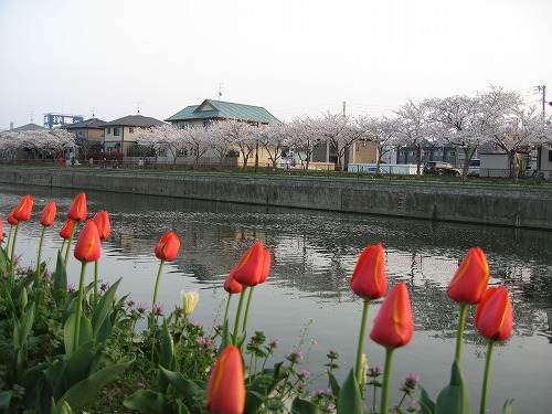 金山川13