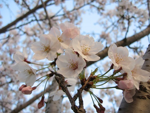 金山川14