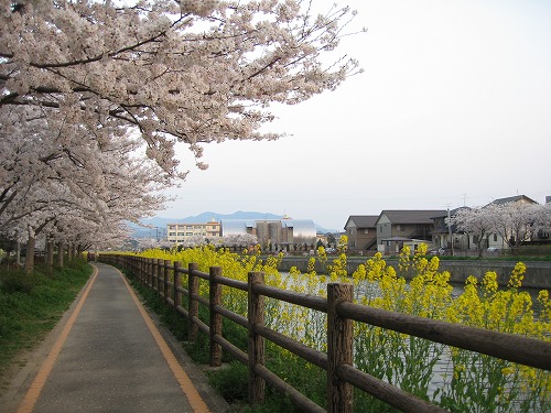 金山川16