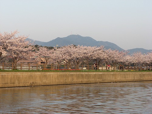 金山川21