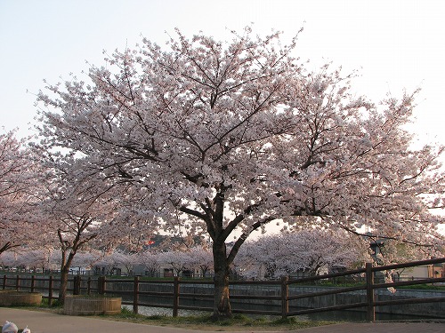 金山川23