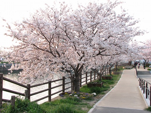 金山川24