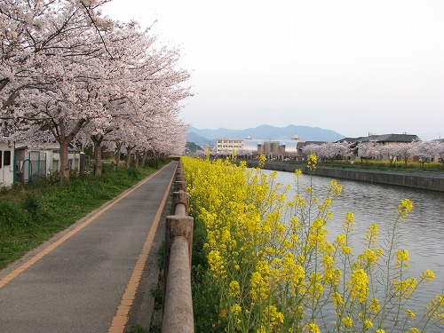 金山川28