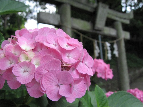 春日神社1