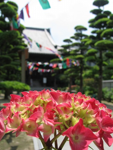 正覚寺2
