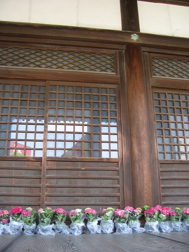 正覚寺4