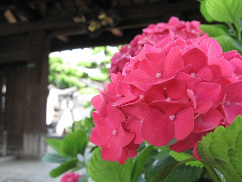 正覚寺5