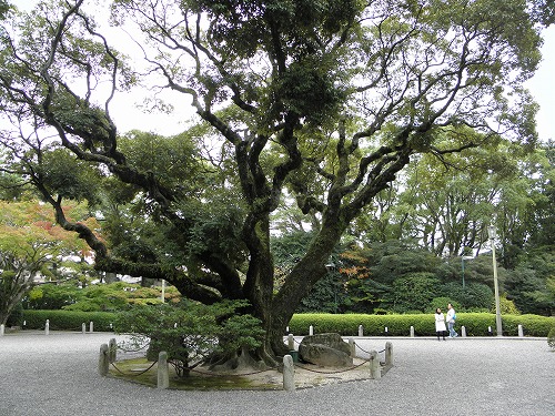 松本邸14