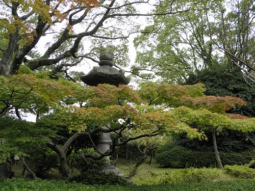 松本邸5