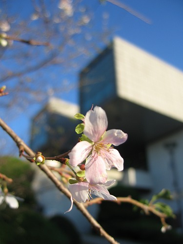 北九州市立美術館12
