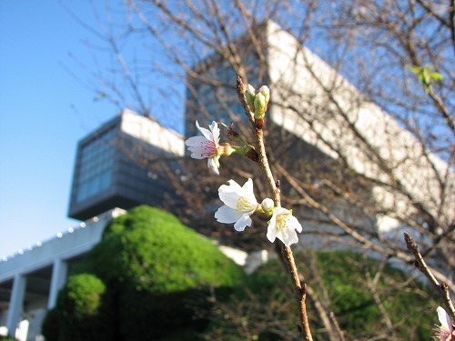 北九州市立美術館24