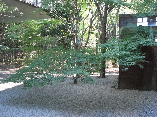 本館17