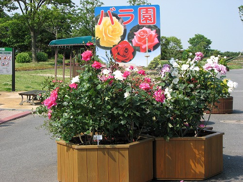 響灘緑地3