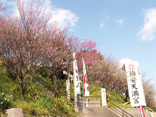 梅安天満宮15