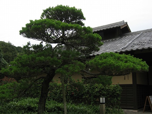 芦屋釜の里2