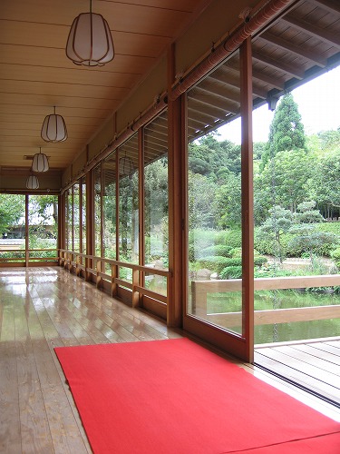 蘆庵5