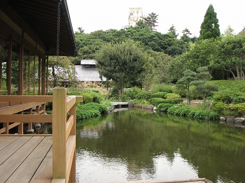 蘆庵13