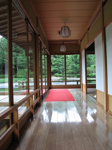 蘆庵28