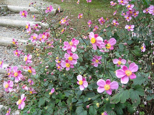 芦屋釜の里12