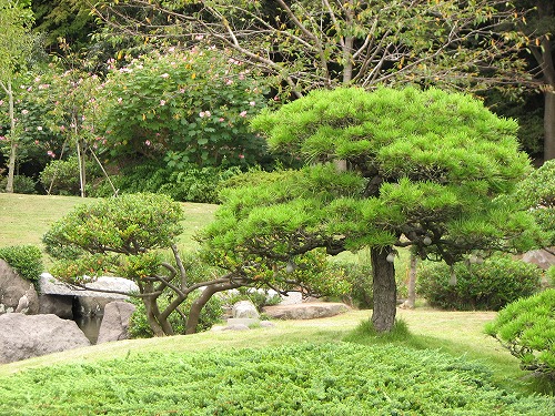 芦屋釜の里20