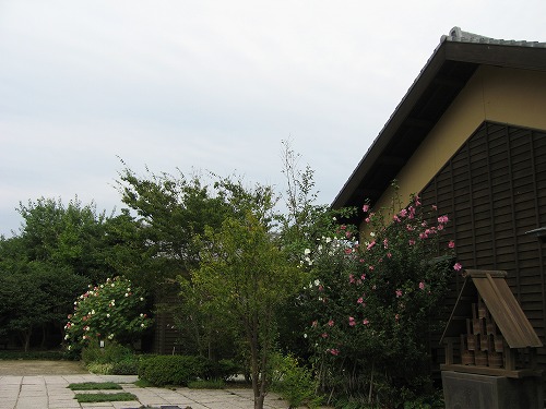 芦屋釜1