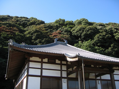 大興善寺14