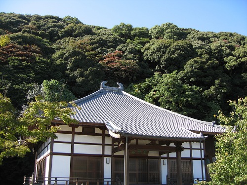 大興善寺18