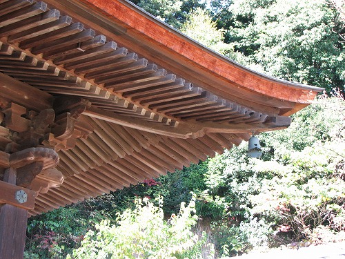 大興善寺26